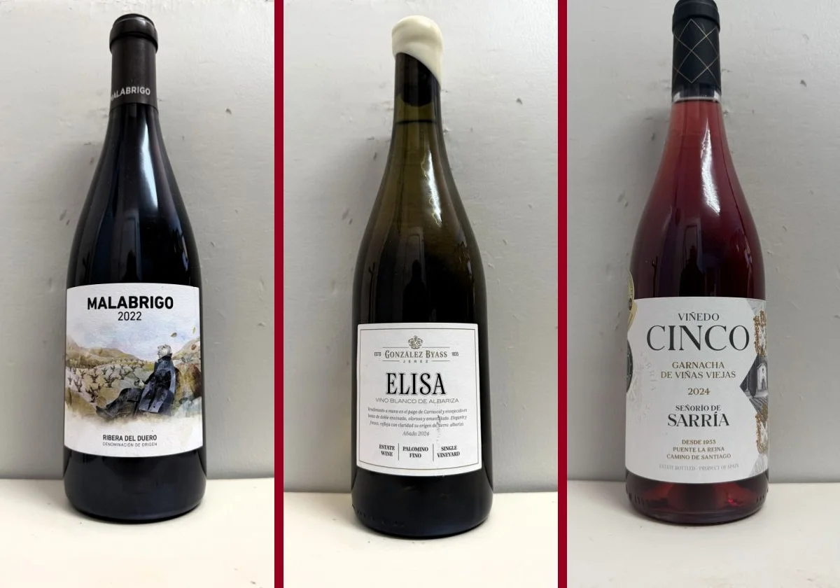La cata: los vinos recomendados en la segunda semana de enero