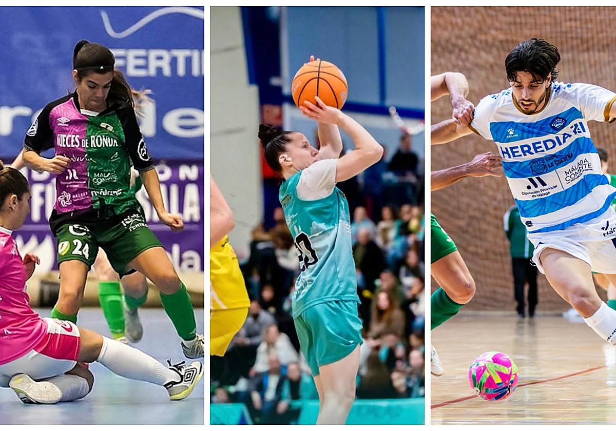 Polideportivo malagueño: Casi la totalidad de equipos malagueños vuelven a la normalidad tras el parón navideño