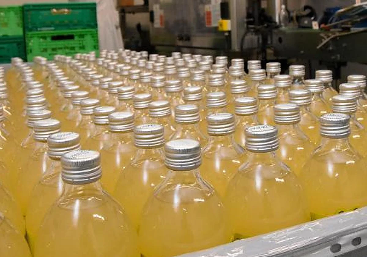 ¿Vale la pena pagar el doble por la kombucha que por un refresco? La OCU analiza varias marcas de supermercado