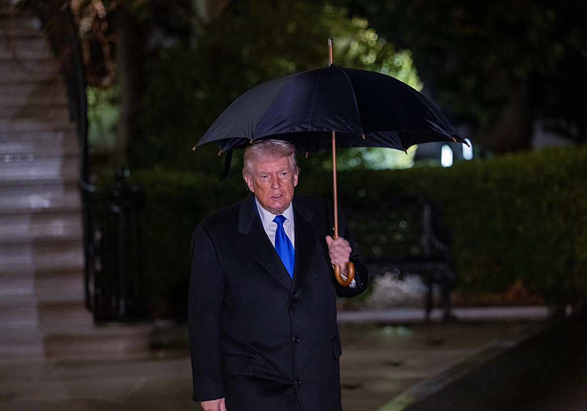 2026, sin orden ni concierto