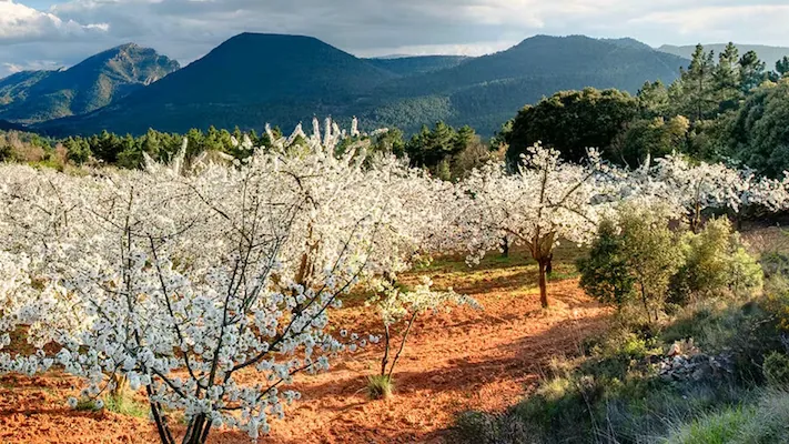 Los 10 pueblos más bonitos de Cáceres: murallas, juderías y plazas con historia