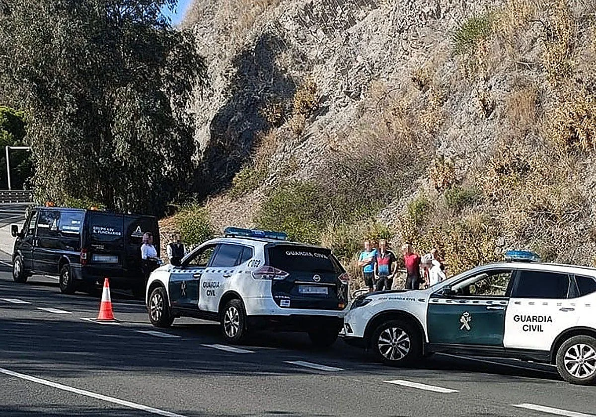 Motorcyclist dies after colliding with deer in Huelva province