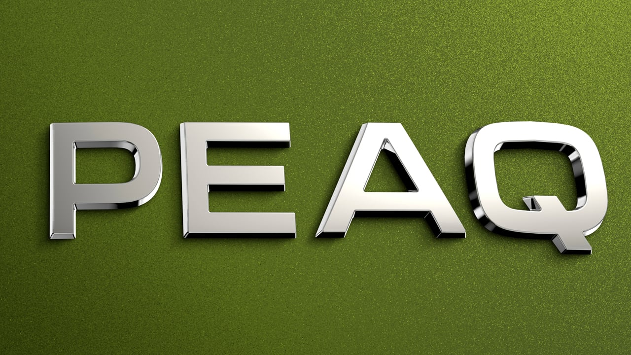 Peaq es el nombre del nuevo SUV eléctrico de 7 plazas de Škoda y ya sabemos cuándo se presentará