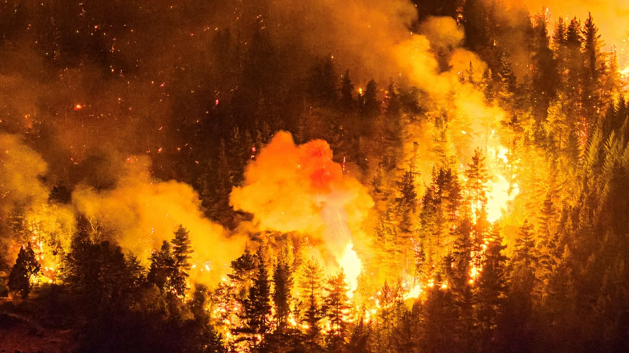 Incendios en la Patagonia argentina arrasan miles de hectáreas; organizaciones, gobierno y pueblos originarios discuten su origen