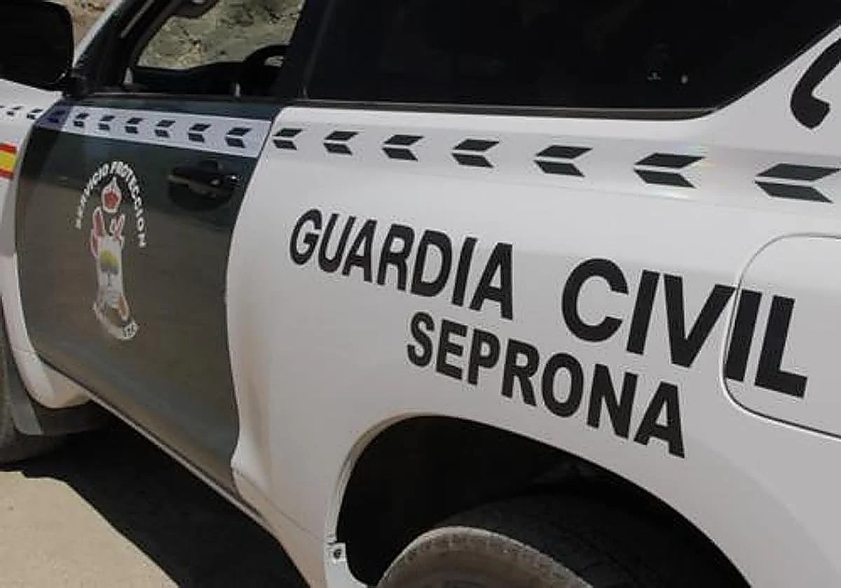 One arrested on Costa del Sol for illegal capture of protected bird species