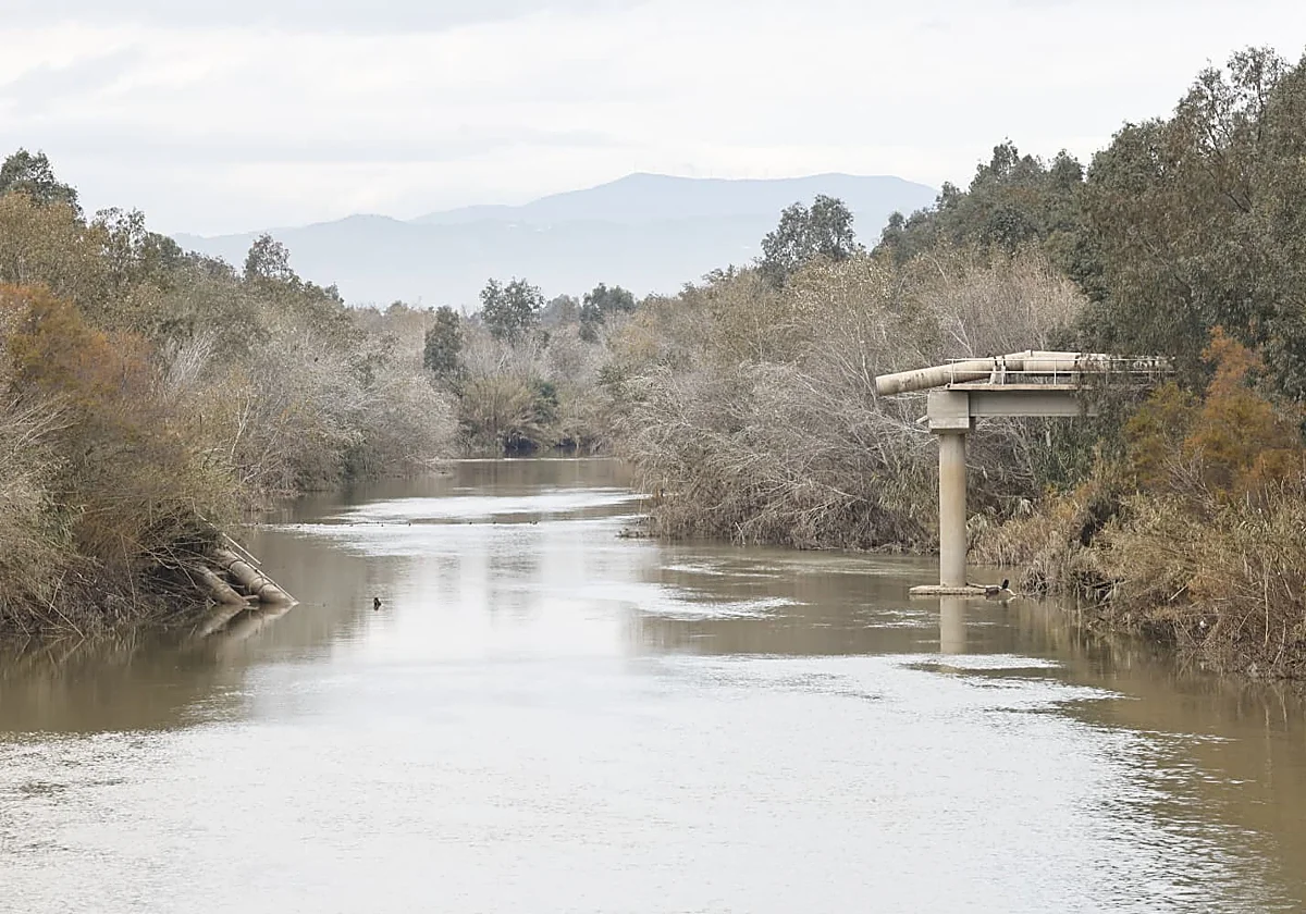 El saneamiento en Guadalmar, arrasado por el mar y por el río
