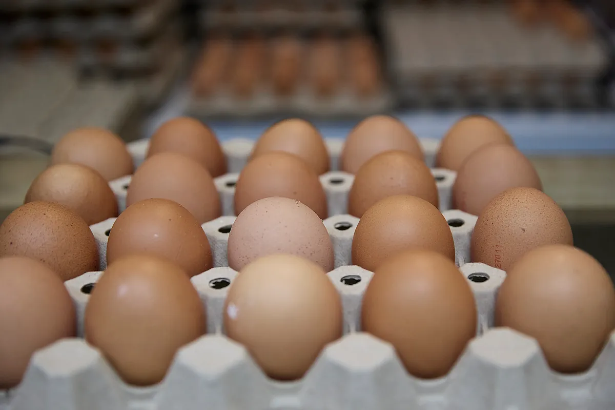 Los huevos, la carne de ternera, el café y los chocolates, los alimentos que más suben en 2025