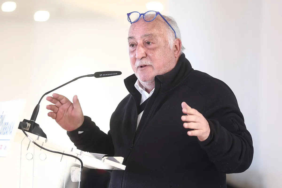 Pere Navarro (DGT): "Al centro de la ciudad no vas a ir en coche eléctrico, no nos equivoquemos"