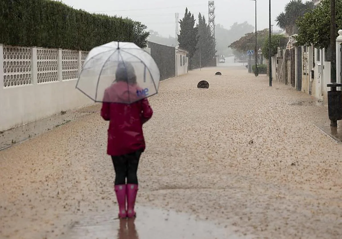 El Ayuntamiento de Málaga trabaja en la limpieza de las barriadas de Campanillas afectadas tras la borrasca Francis