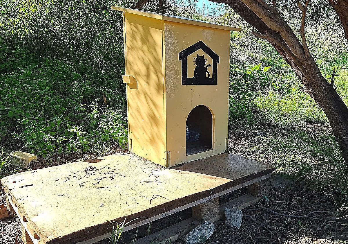 Alhaurín de la Torre council cares for 2,000 stray cats