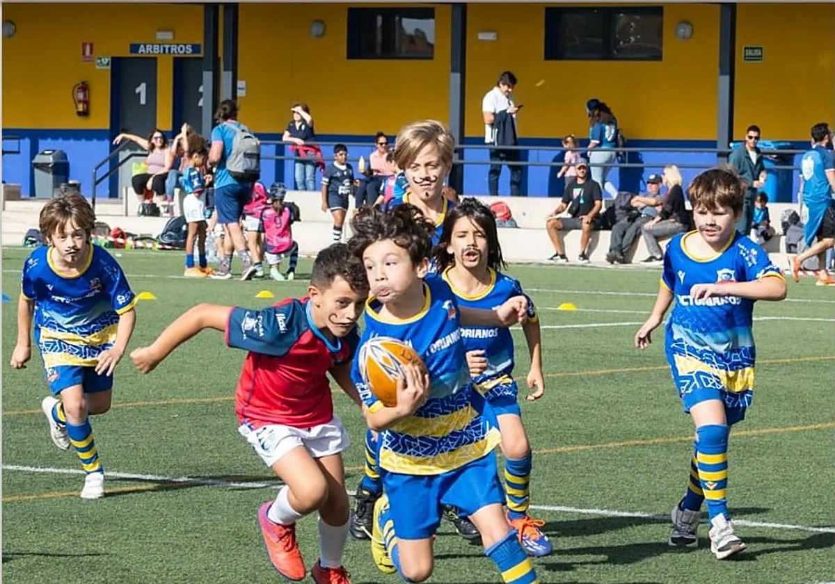 Rincón de la Victoria acoge el Torneo Rugby Gradual de la Federación Andaluza
