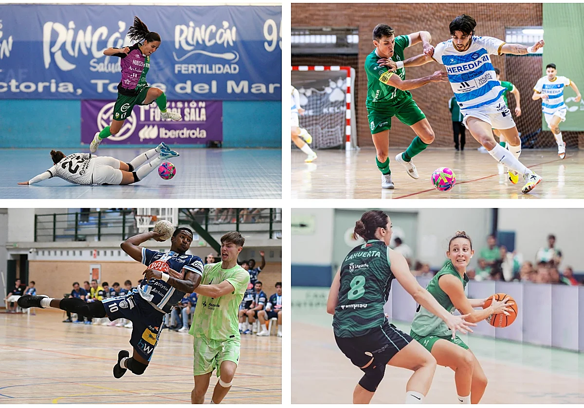 Polideportivo malagueño: Los equipos de la provincia quieren seguir mirando hacia arriba