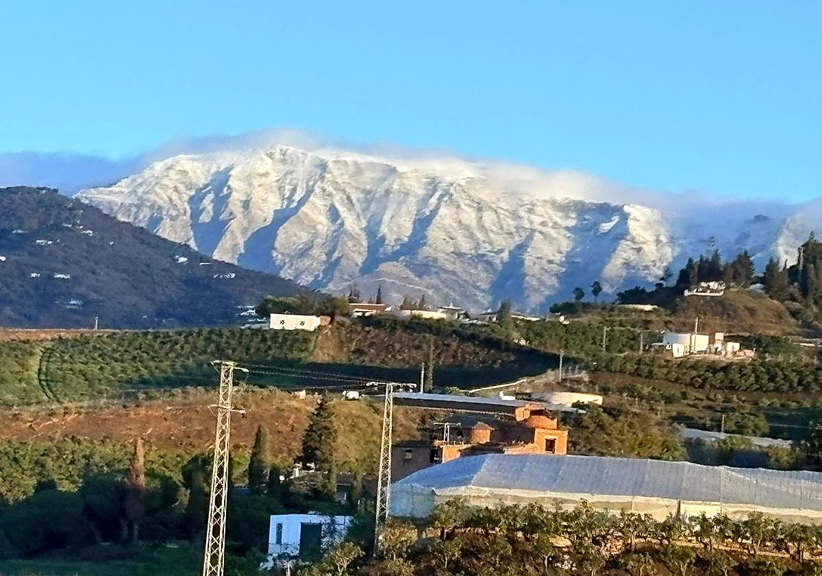 La Maroma se cubre de nieve y deja la primera gran nevada de 2026 en la Axarquía