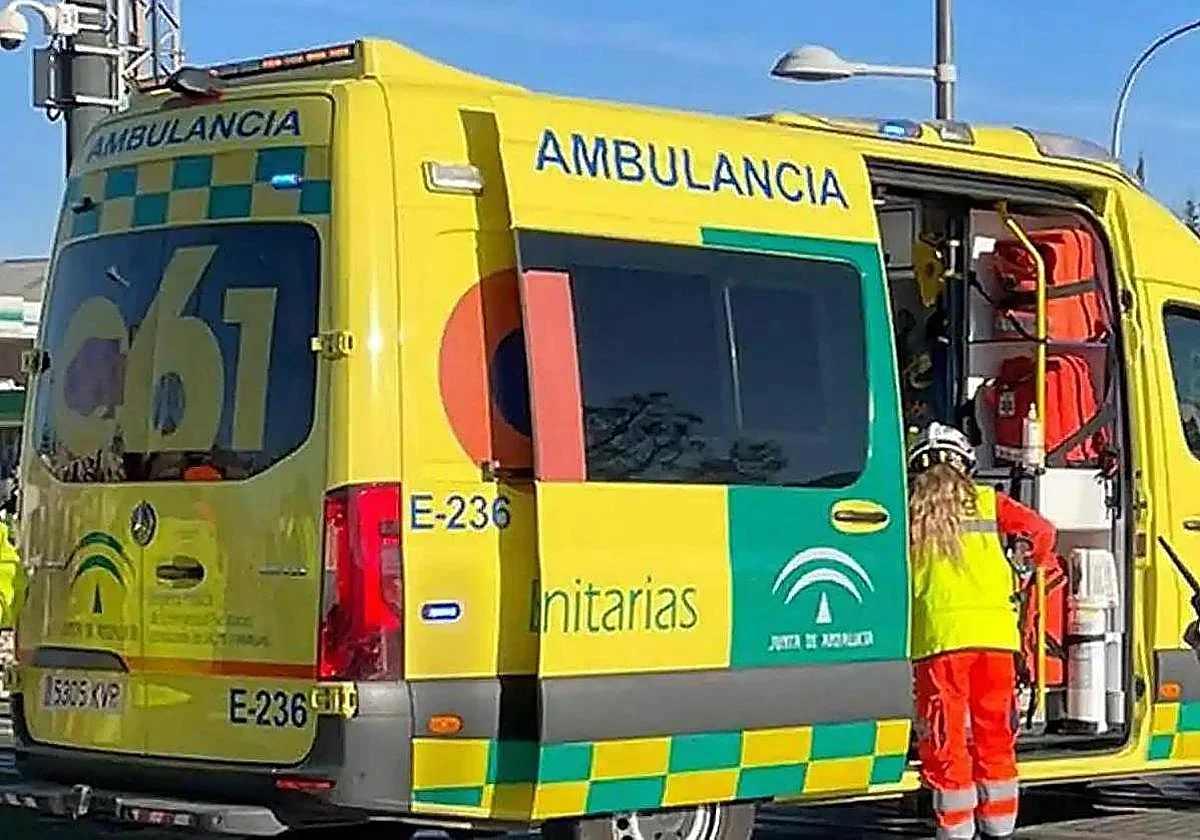 Siete heridos, uno de ellos evacuado al hospital, tras el incendio de un piso en Málaga