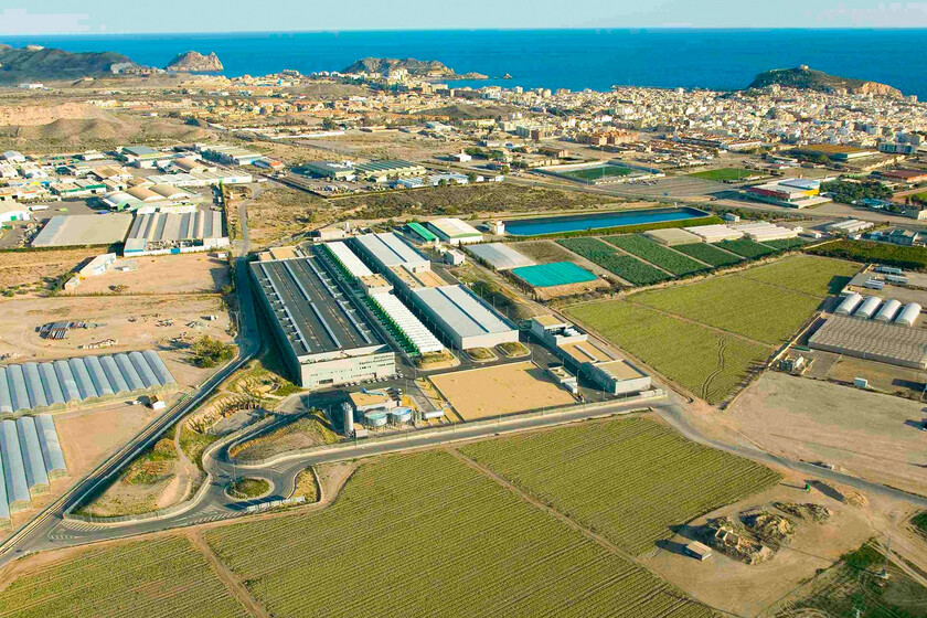 El agua del Tajo se va a quedar en Castilla-La Mancha. Así que Alicante y Murcia ya tienen un plan B: montar desaladoras