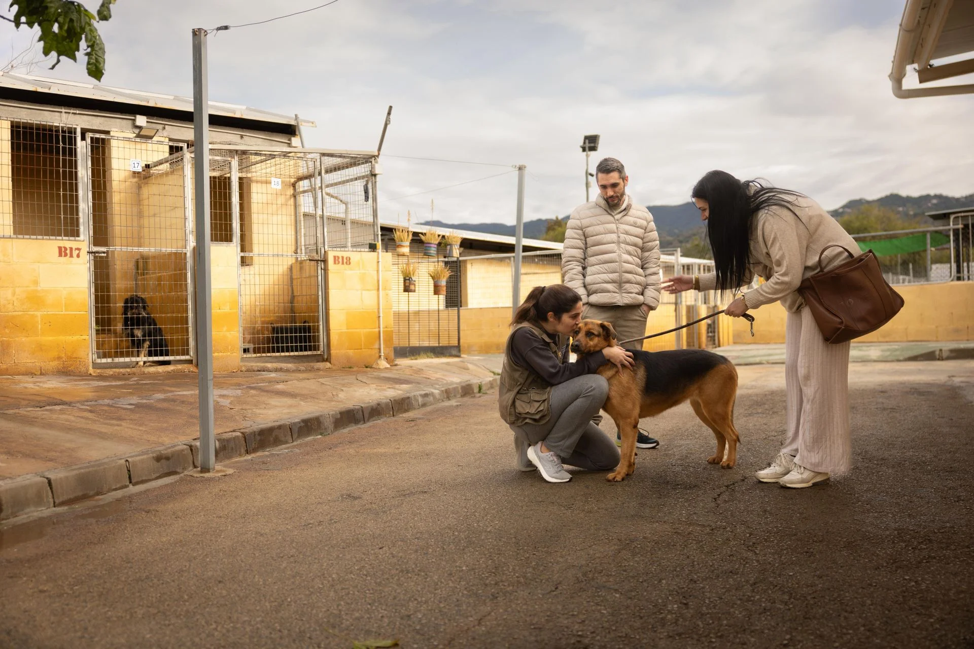 La Protectora cumple 150 años de defensa de los animales abandonados y maltratados en Málaga
