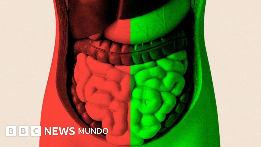 Por qué cuidar tu microbioma intestinal puede ayudarte a envejecer mejor