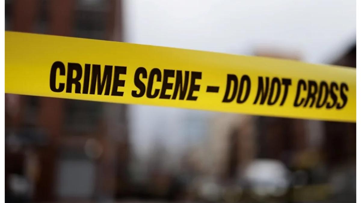 Un niño mata a su padre después de propinarle varios disparos tras quitarle la Nintendo Switch