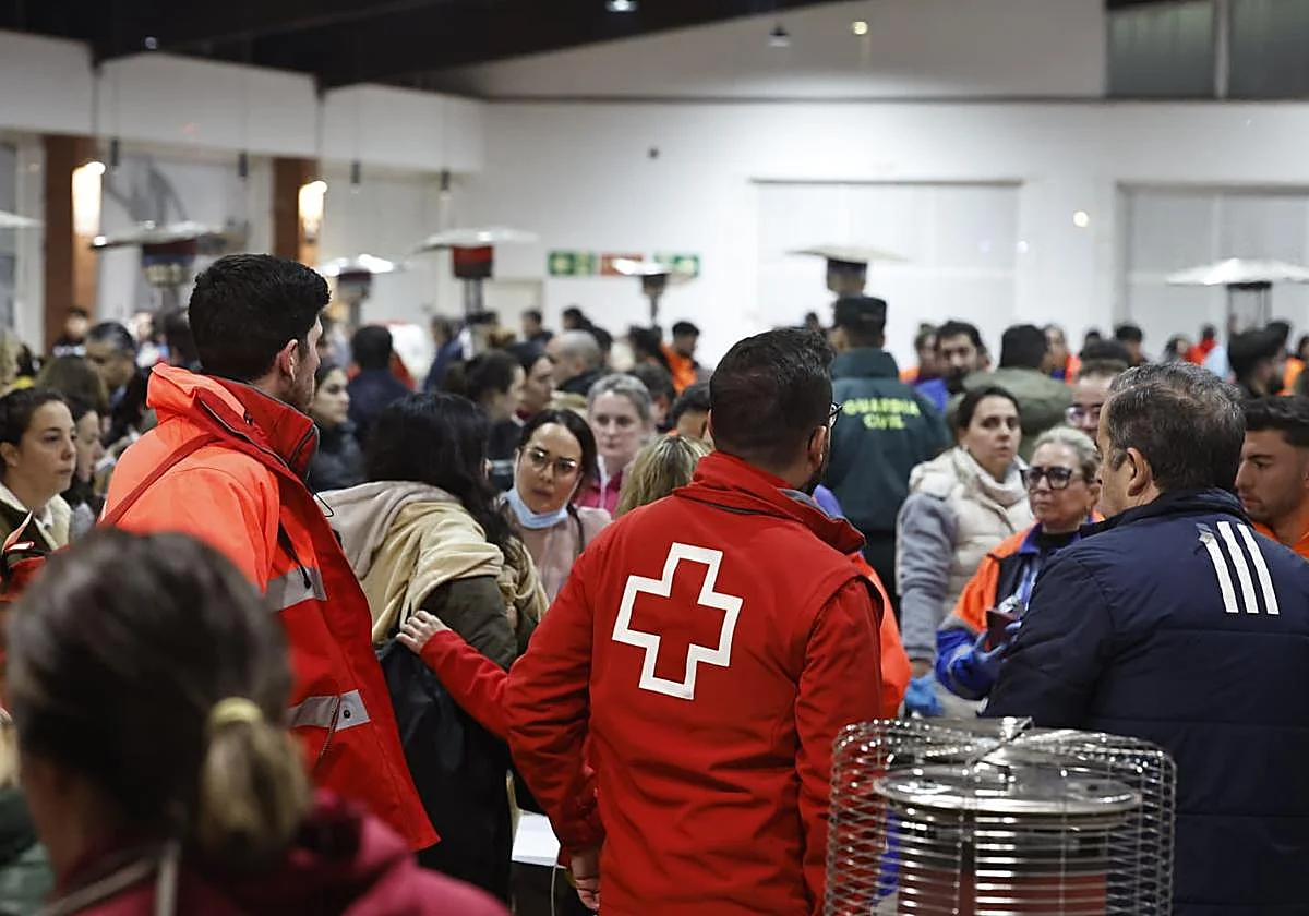 Ten-year-old train crash survivor Carlota: 'Dad, can I go back to the train to get my language book?'