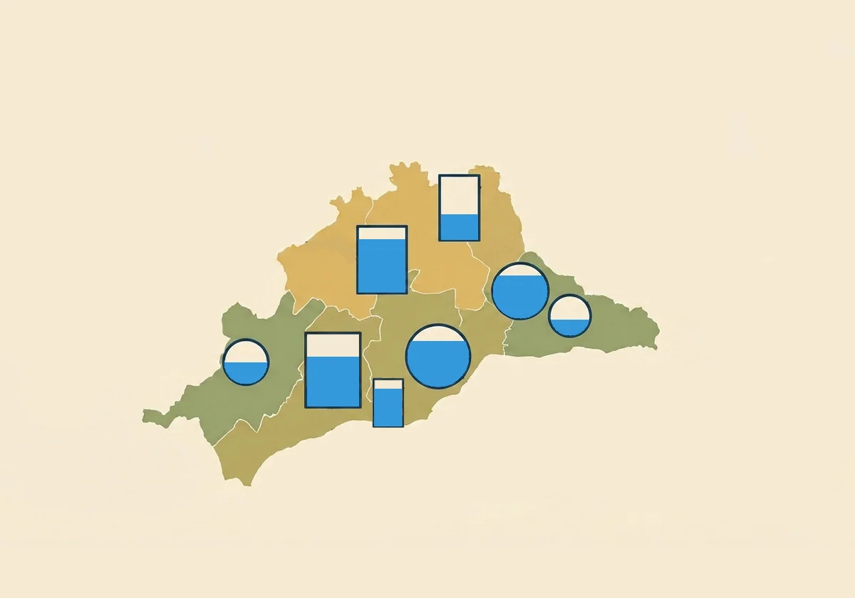 Estado de los embalses de Málaga el martes, 20 de enero de 2026