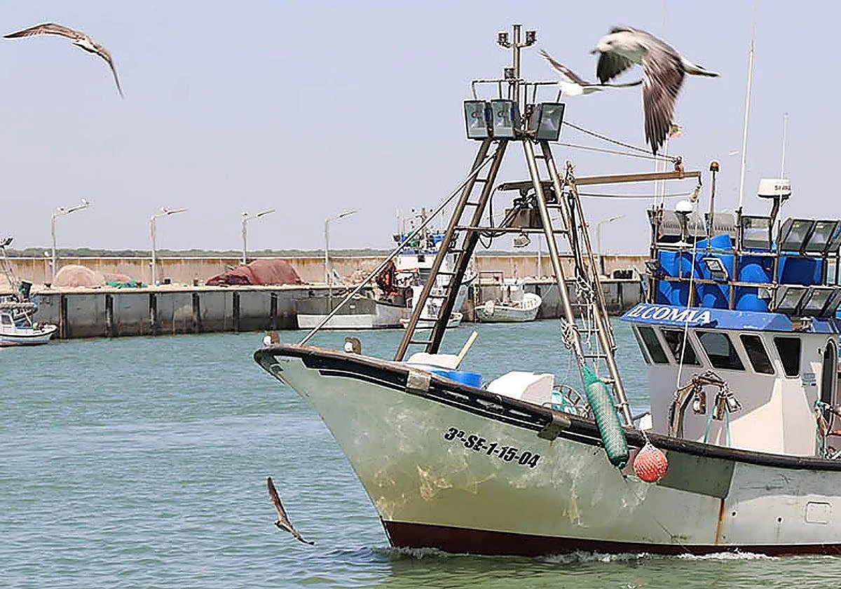Andalusian fisheries sector welcomes agreement reached on EU controls