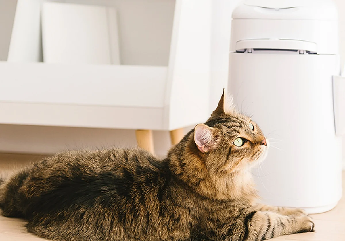 Adiós a los olores del arenero: el cubo Litter Genie XL lo sella todo