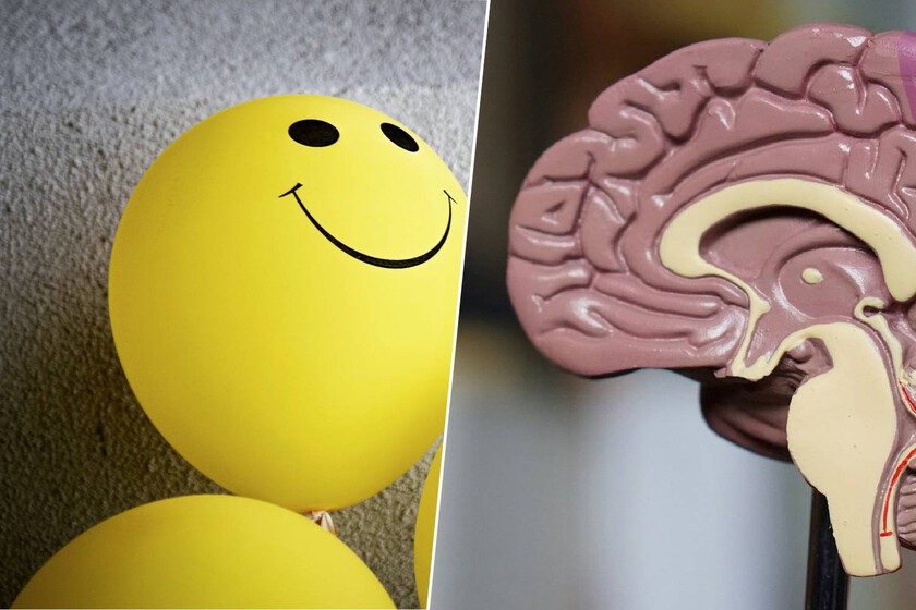 Malas noticias, Mr. Wonderful tenía razón: los pensamientos positivos pueden "hackear" tu cerebro y mejorar tu inmunidad