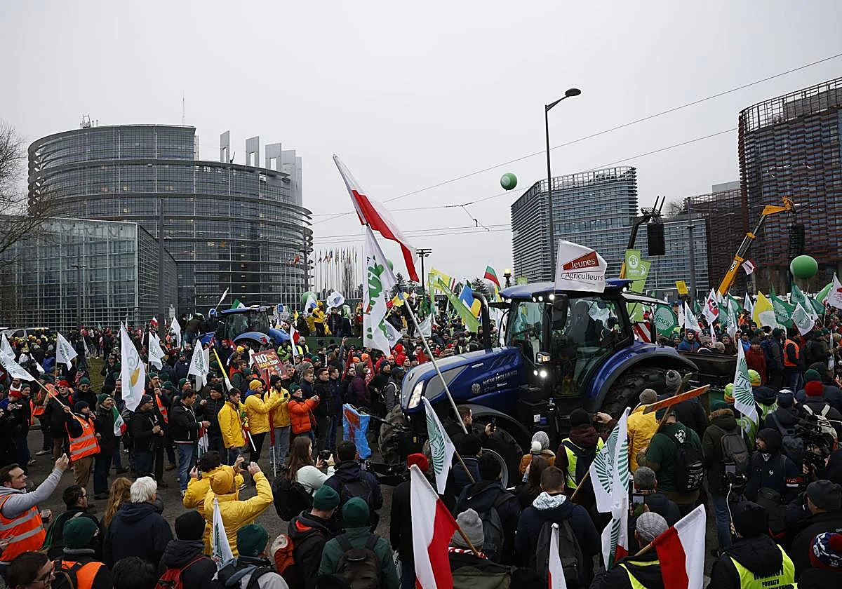 La Eurocámara elevará el acuerdo comercial de Mercosur ante la Justicia europea