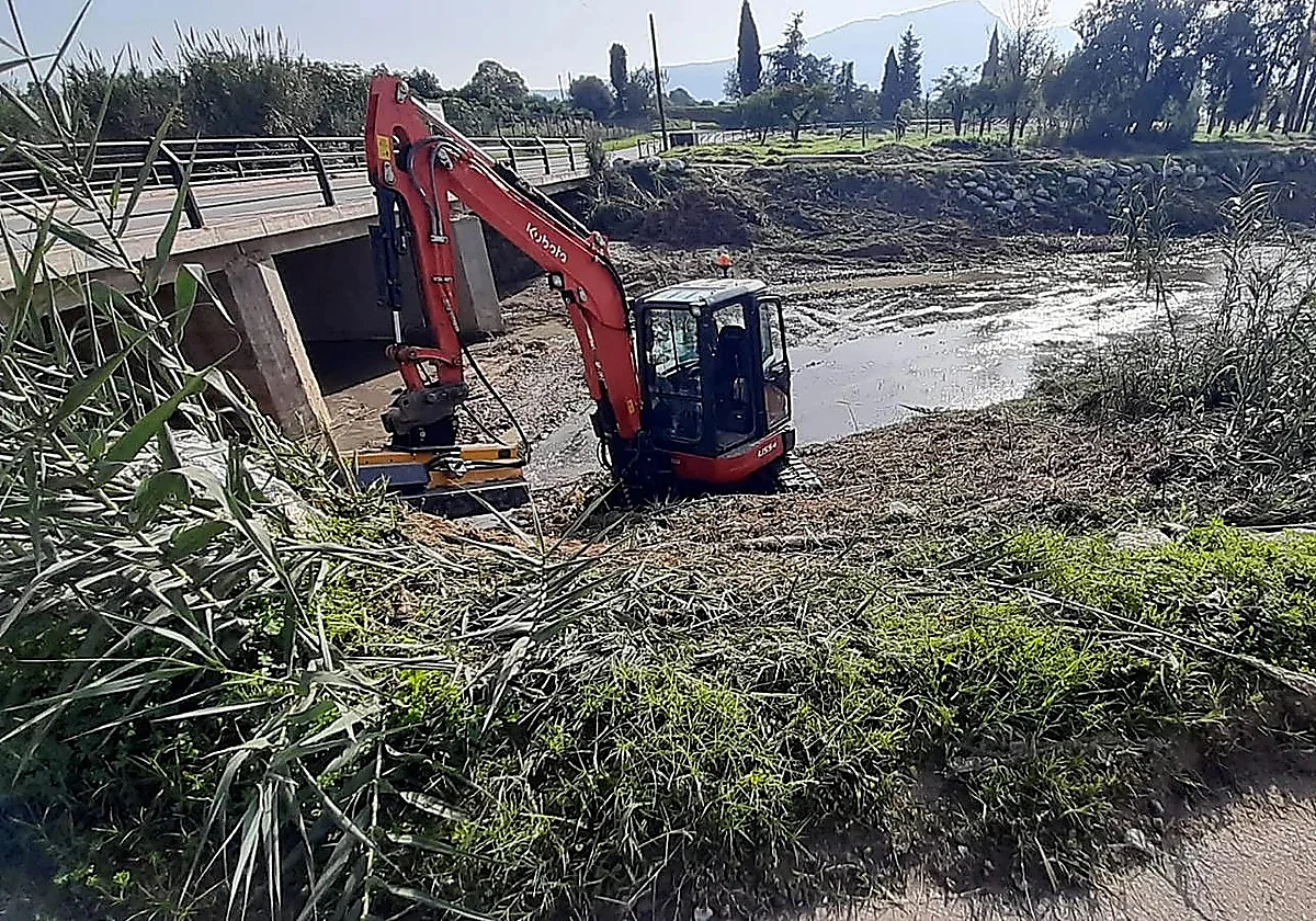 Alhaurín de la Torre aprueba recuperar la vegetación autóctona de sus arroyos