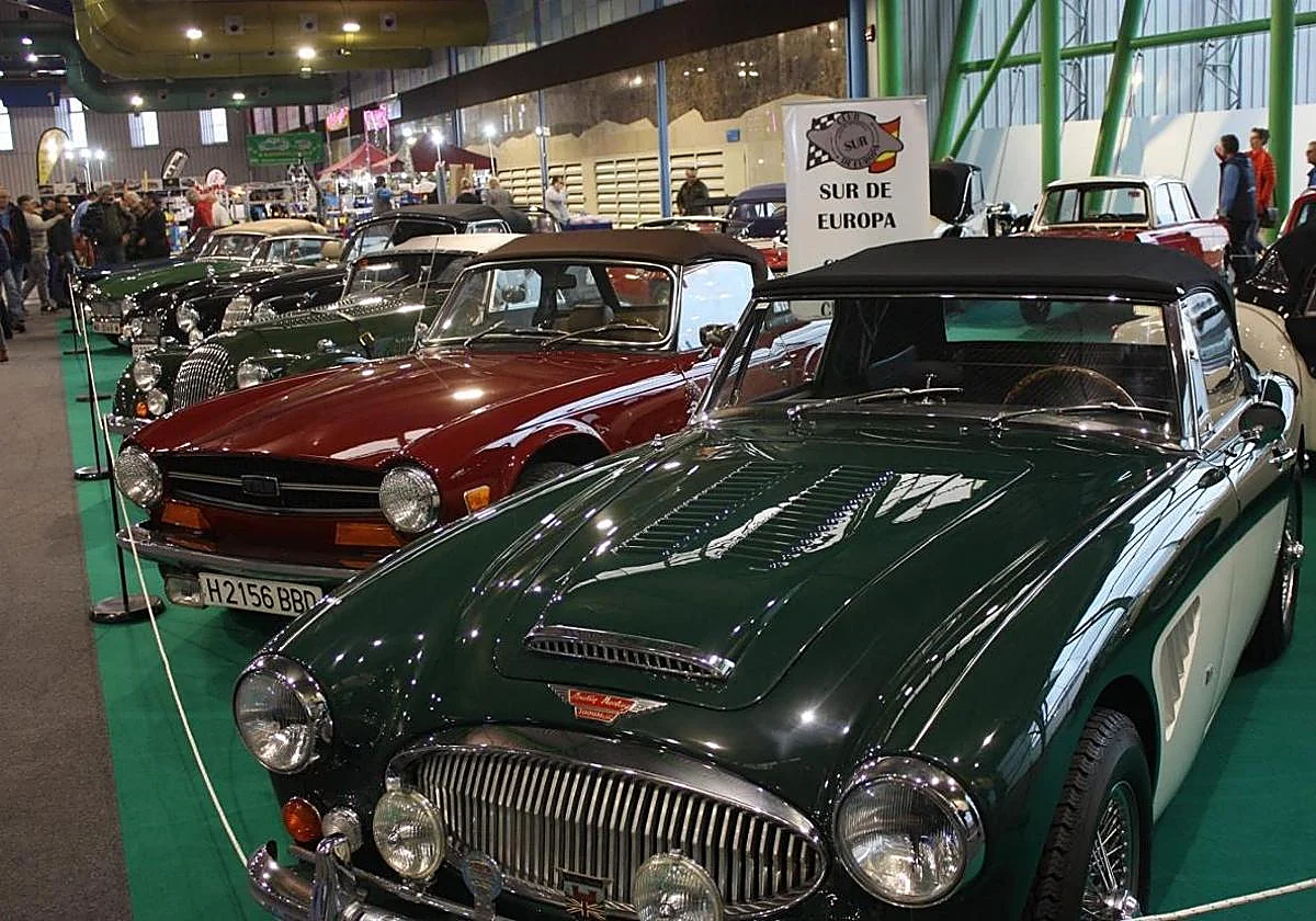 Tributos musicales, coches clásicos y mucho teatro para disfrutar del fin de semana en Málaga