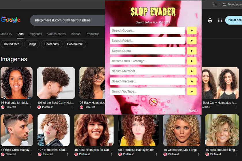 Si crees que internet era mucho mejor antes de la IA, enhorabuena: han creado una extensión para ti