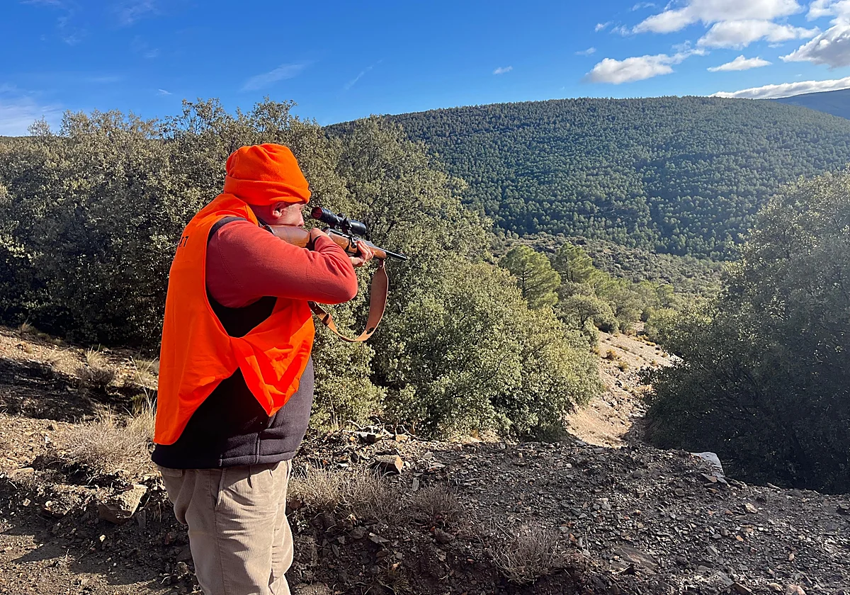 What happened during the recent wild boar hunt in Alhaurín de la Torre?