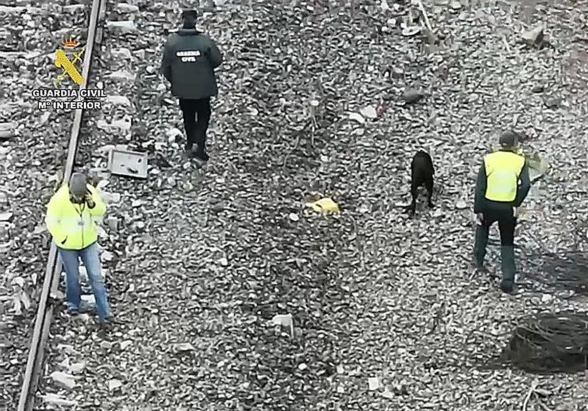 Search for bodies inside Adamuz trains is over: police and four dogs now comb tracks and forest
