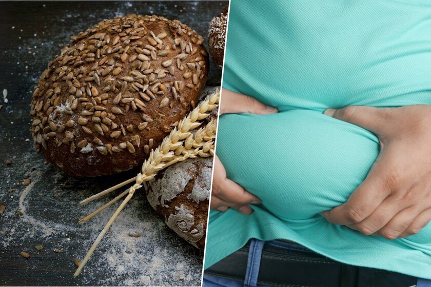 Dejar el gluten para adelgazar es un error de manual: la ciencia explica por qué puede ser peor el remedio que la enfermedad