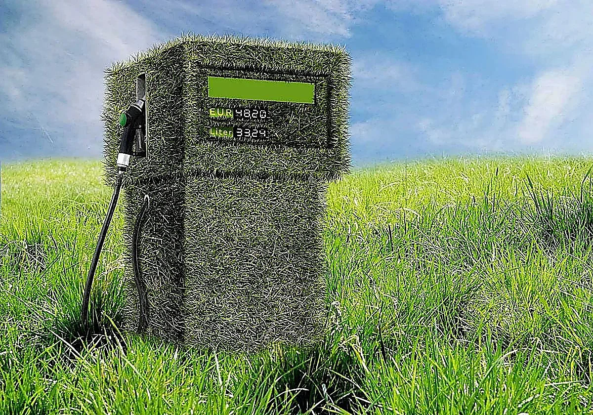 Europa cierra el grifo a los biocombustibles de soja por su impacto en la deforestación