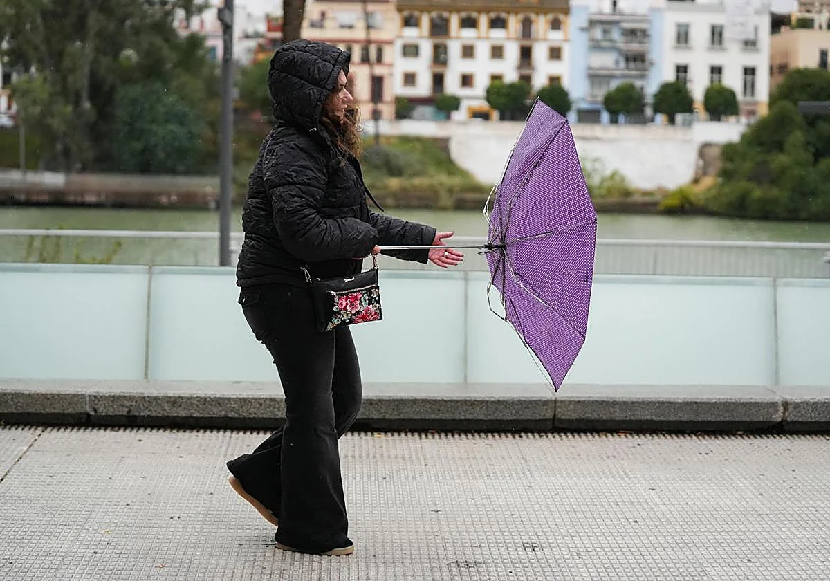 La Junta activa la fase de preemergencia del Plan de Emergencias por riesgo de inundaciones ante el paso de 'Ingrid' por Andalucía