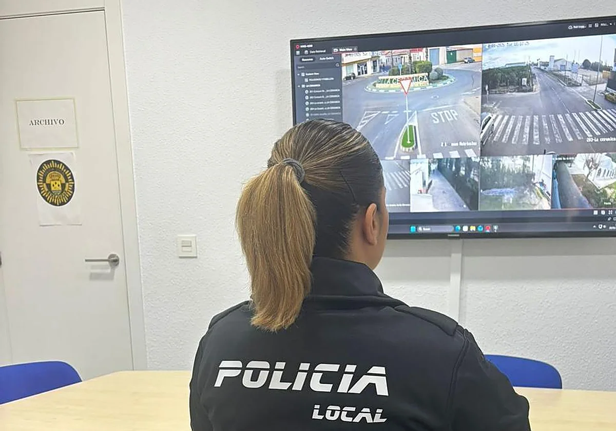 Mijas town hall highlights ‘the clear need’ to strengthen security after recent acts of vandalism