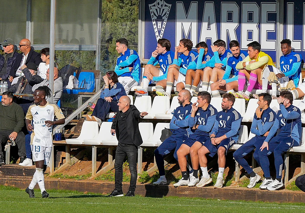 Primera RFEF: duelos en la zona caliente para los equipos malagueños