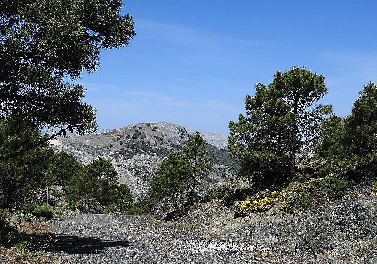 The mountains of Malaga province