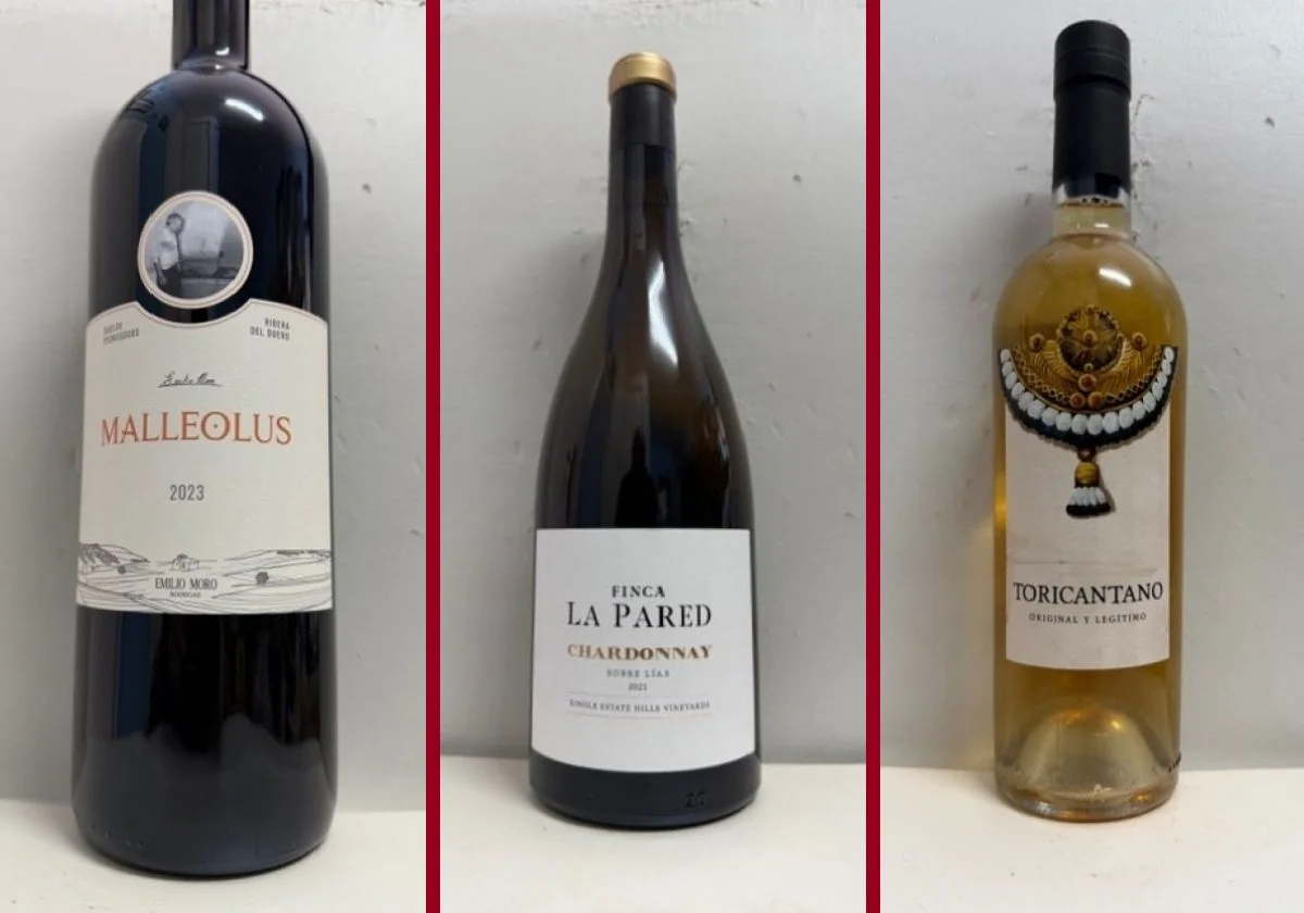 La cata | Los vinos destacados de la penúltima semana de enero