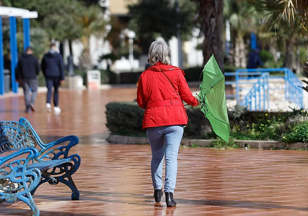 Aemet activa avisos en Málaga y otras cuatro provincias andaluzas para este domingo