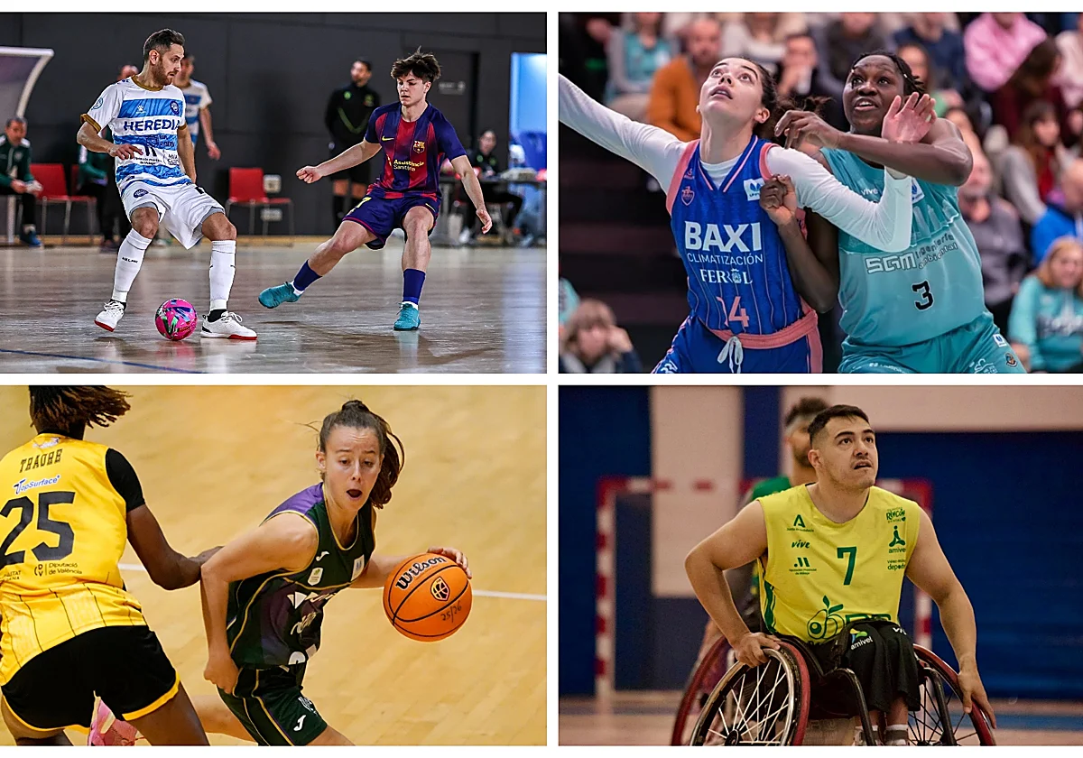 Polideportivo malagueño: Fin de semana repleto de victorias para los equipos de la provincia