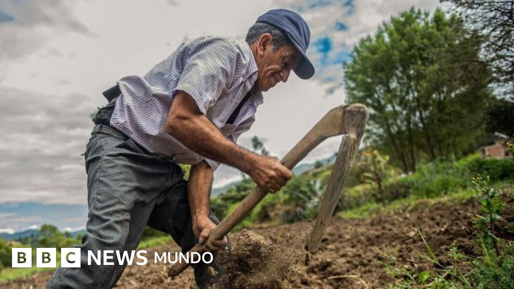 Cómo logró Perú convertir uno de los desiertos más áridos del mundo en un gran centro de producción de alimentos