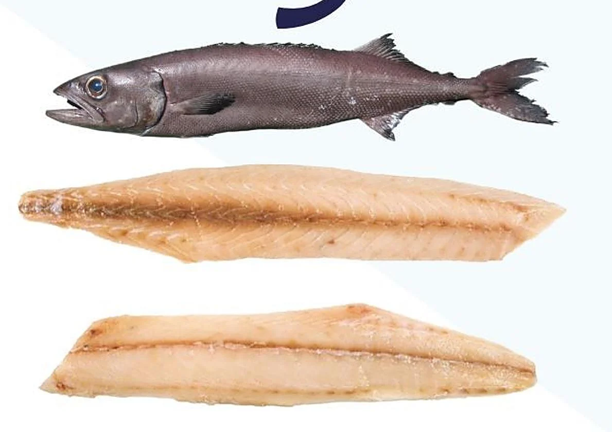 Pez mantequilla o escolar: recomendaciones del Gobierno para consumirlo sin problemas