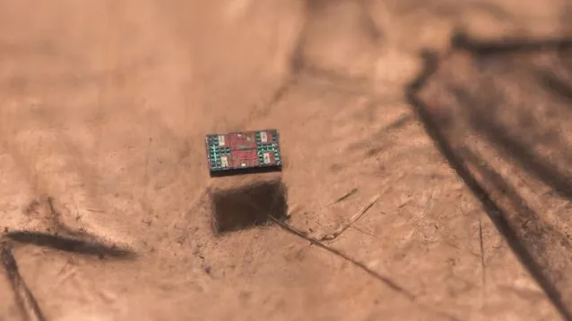 Este robot del tamaño de un grano de sal revolucionará la robótica microscópica