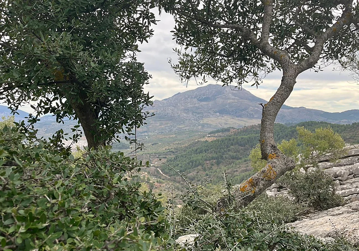 Un Parque Nacional Sierra de las Nieves con gran visibilidad, pero con una inversión «muy lenta»