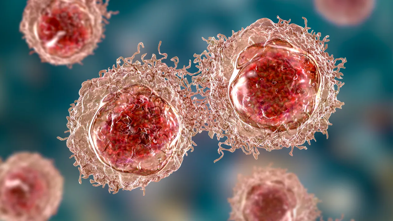 Científicos españoles afirman haber eliminado por completo el cáncer de páncreas en ratones, pero hay que ser cautos