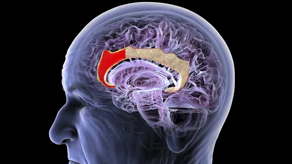Esta startup china quiere competir con Neuralink sin abrir tu cerebro