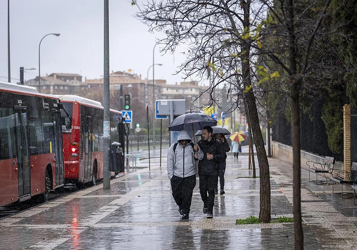 Aviso rojo en Andalucía para este miércoles: afecta a Grazalema y se esperan lluvias acumuladas de hasta 200 litros en 24 horas