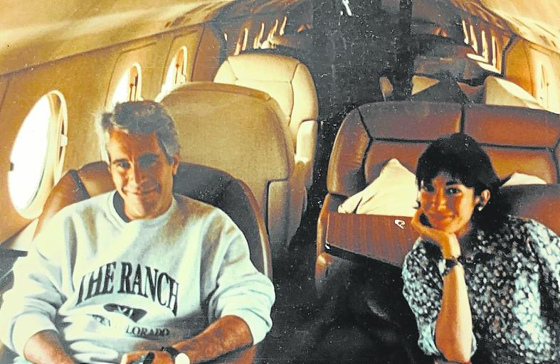 Los cerdos, la taruga y la lista